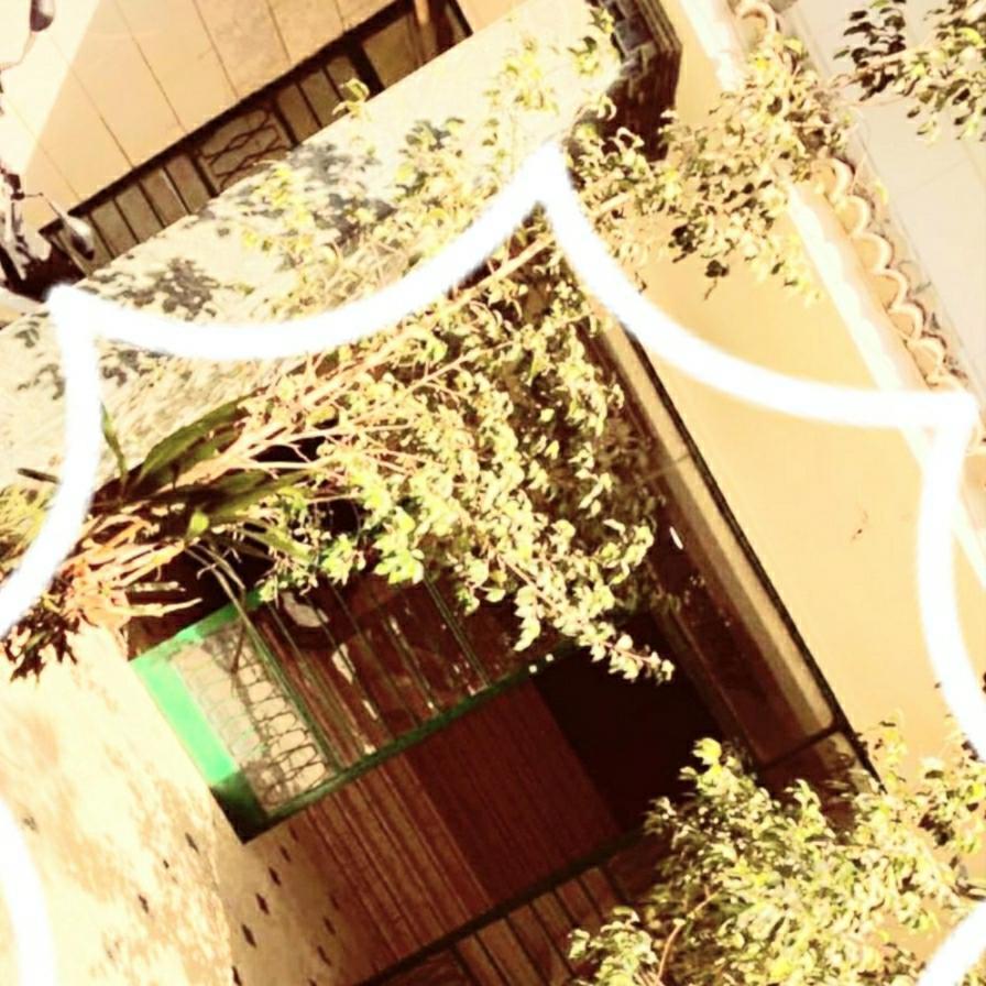 Appartement Omar *